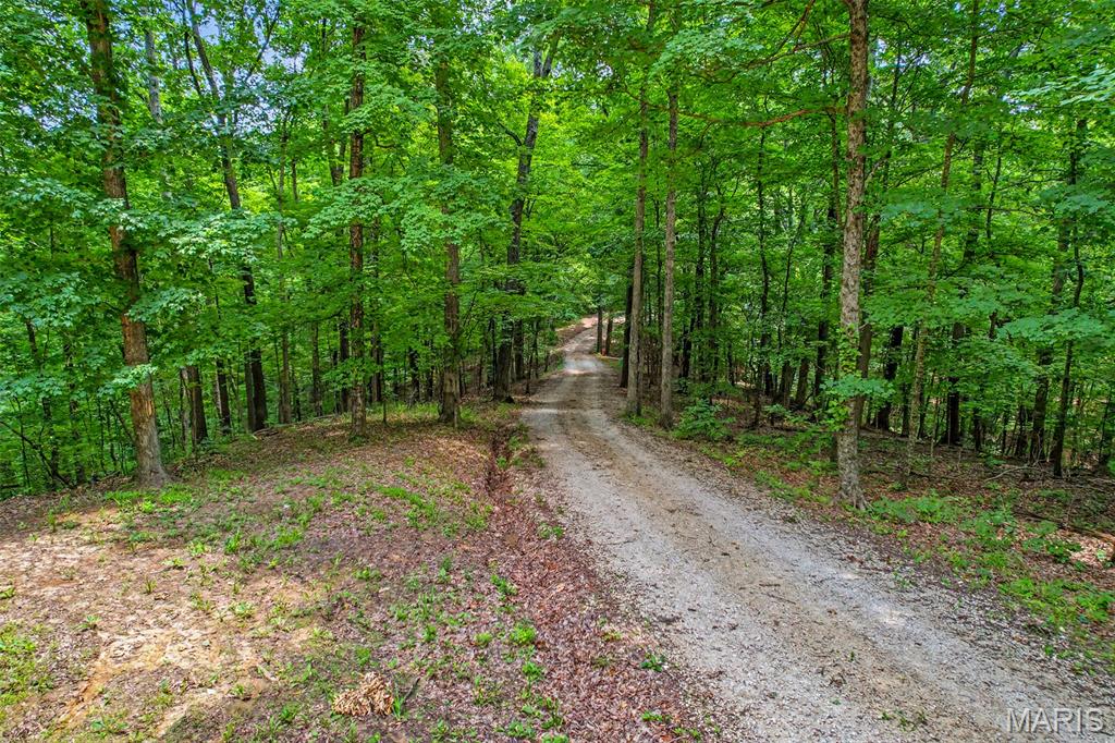 0 Antler Ridge Property Photo 91