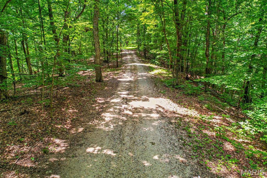 0 Antler Ridge Property Photo 92