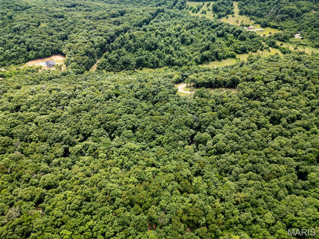 6011 Hidden Acres Road Property Photo 11