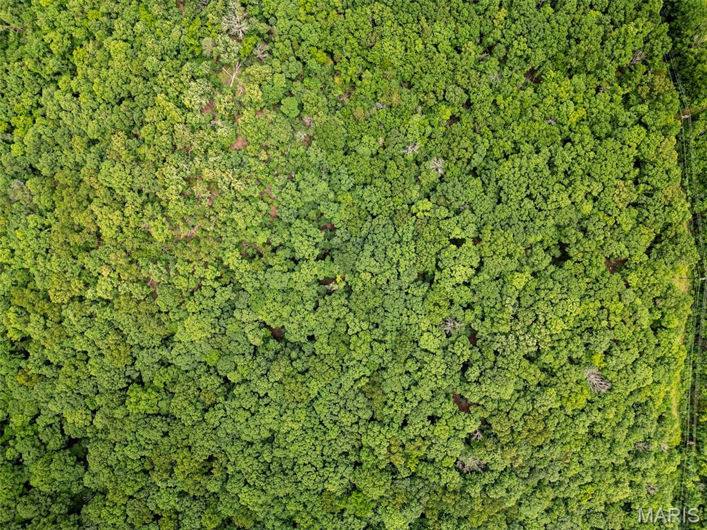 6011 Hidden Acres Road Property Photo 14