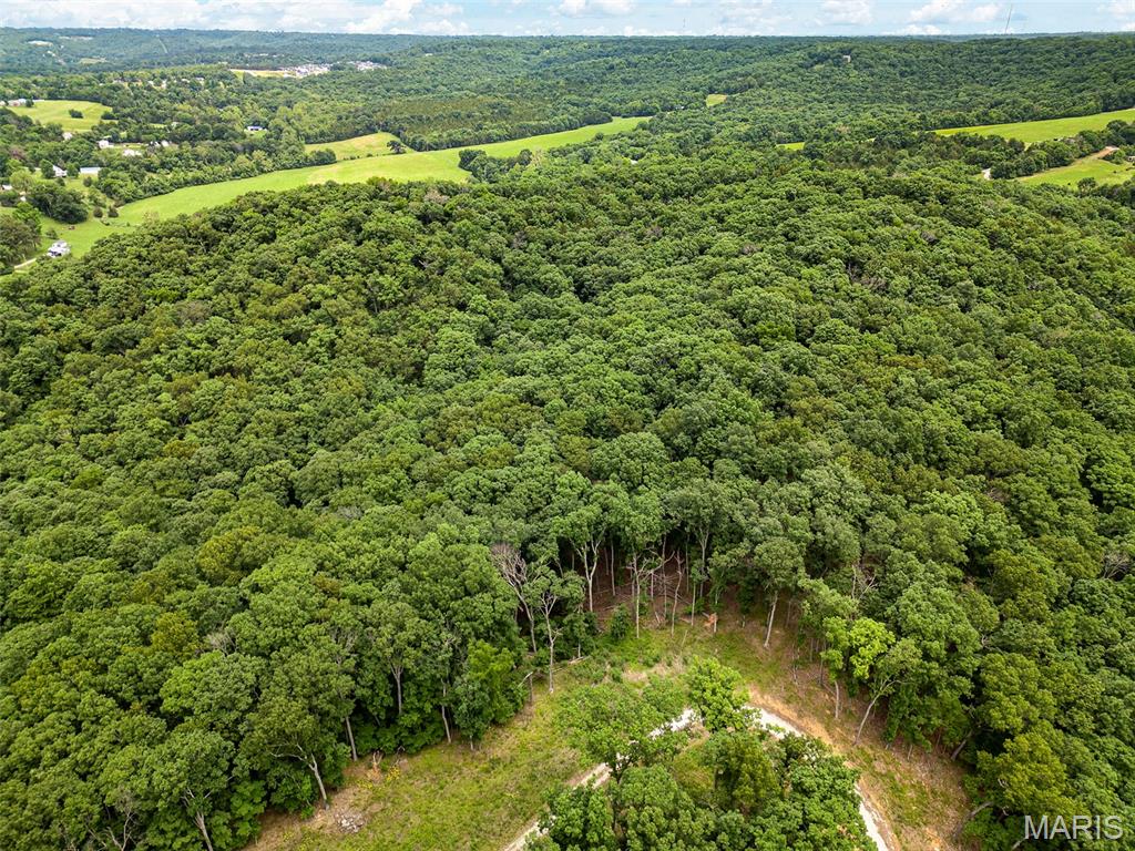 6011 Hidden Acres Road Property Photo 18