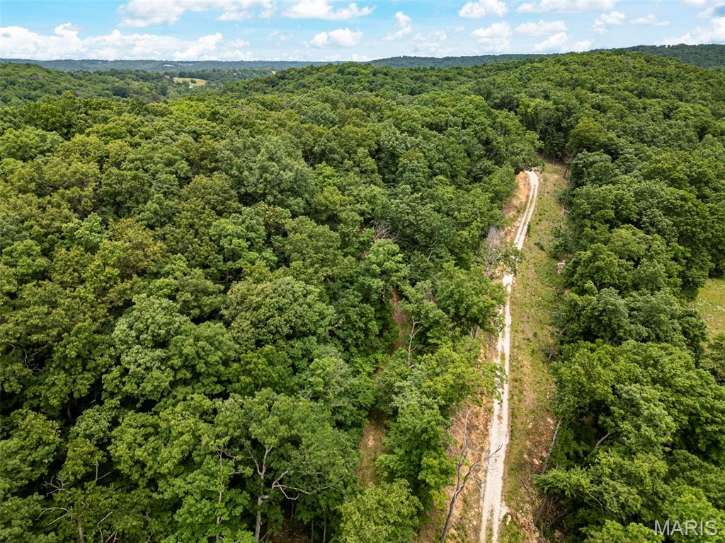 6011 Hidden Acres Road Property Photo 19