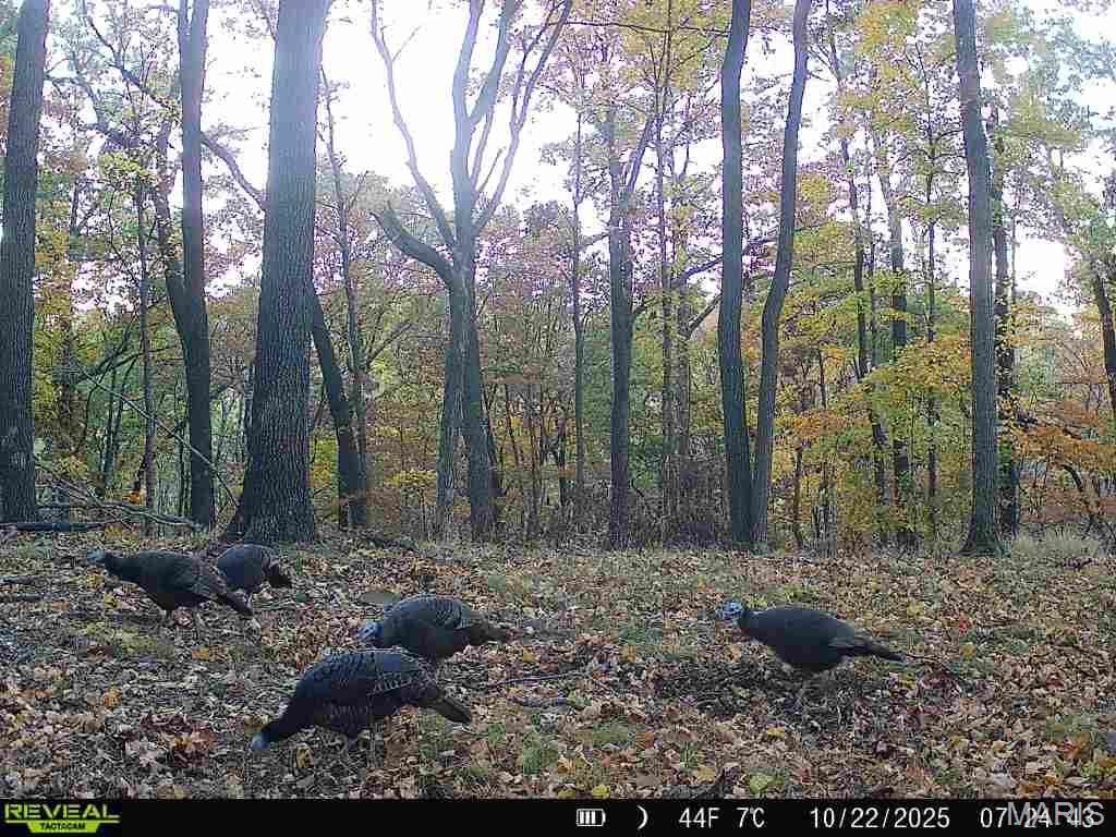 6011 Hidden Acres Road Property Photo 22