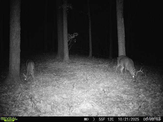 6011 Hidden Acres Road Property Photo 23