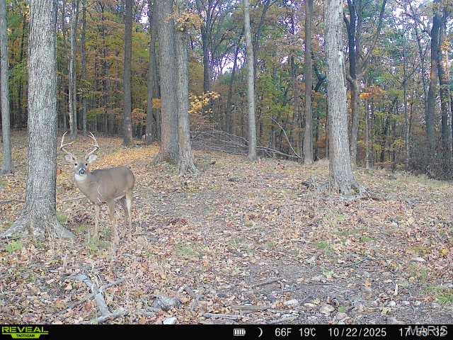 6011 Hidden Acres Road Property Photo 24