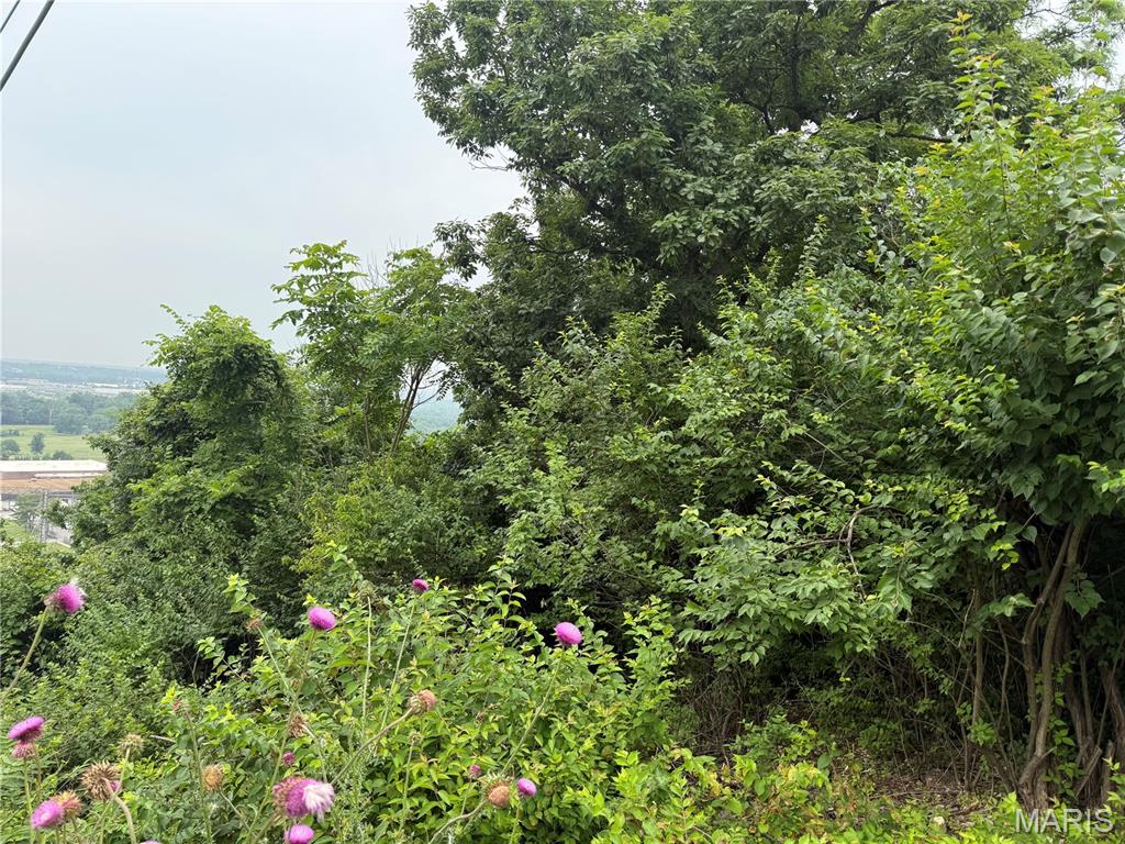 13010 Big Bend Road Property Photo 5
