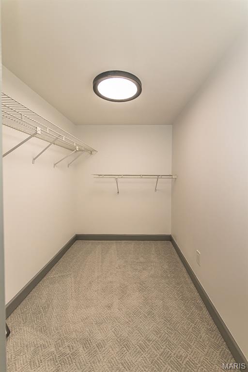 14426 Open Meadow Court Property Photo 40