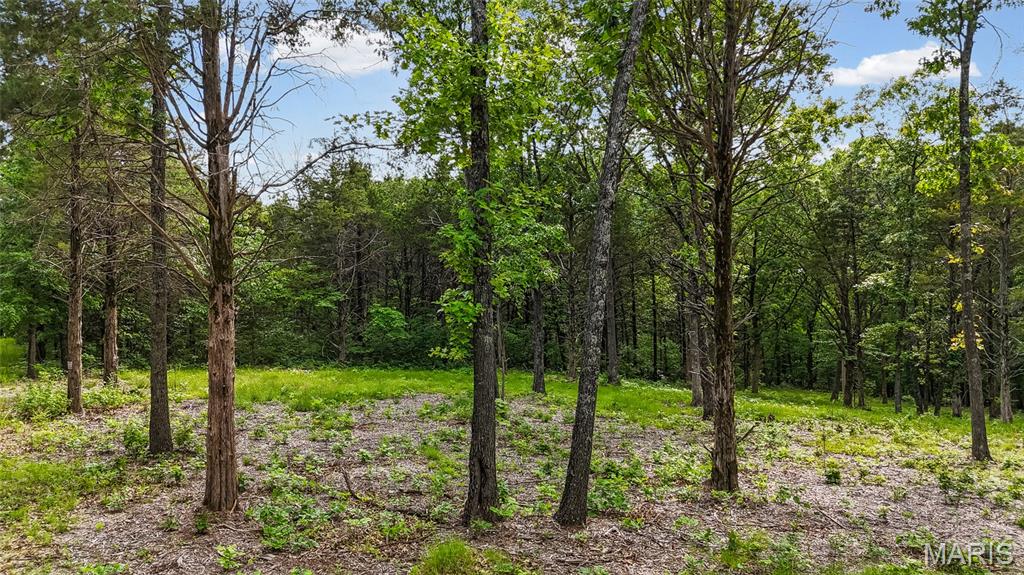 299 Whitetail Ridge Property Photo 1