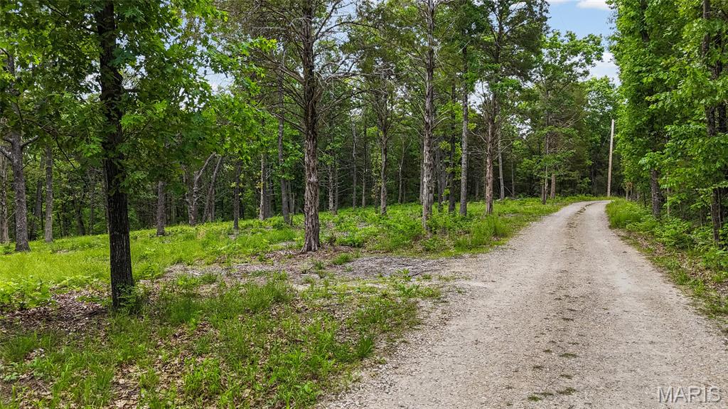 299 Whitetail Ridge Property Photo 2