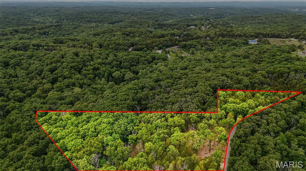 299 Whitetail Ridge Property Photo 3