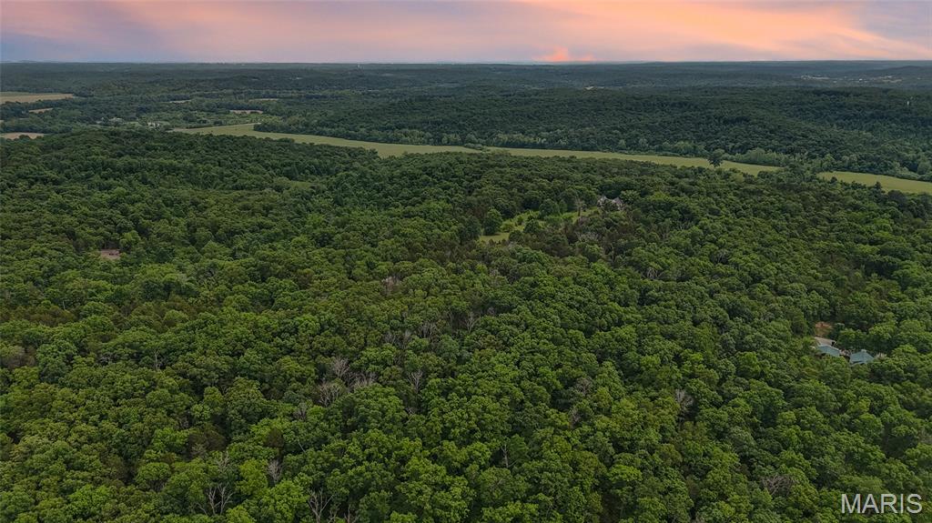 299 Whitetail Ridge Property Photo 4