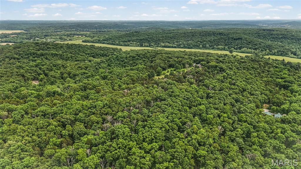 299 Whitetail Ridge Property Photo 5