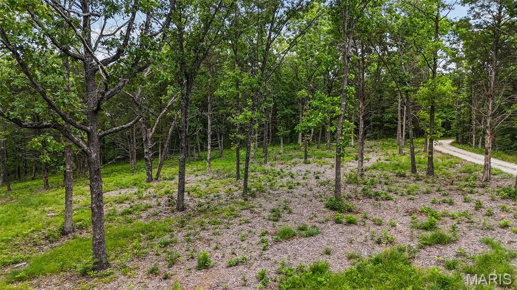 299 Whitetail Ridge Property Photo 6