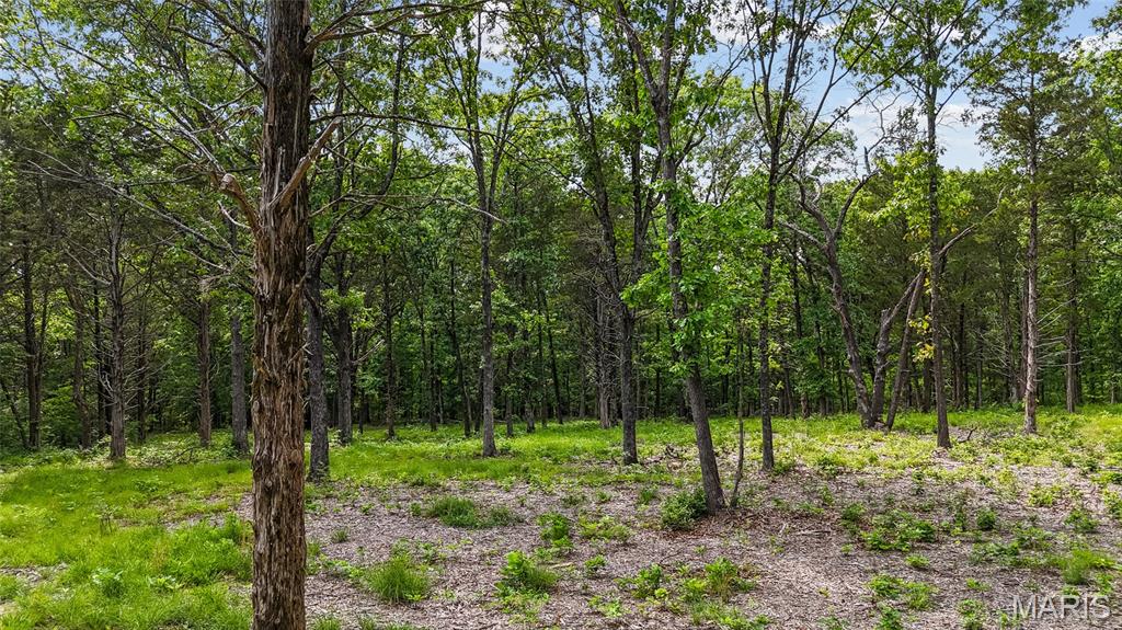 299 Whitetail Ridge Property Photo 7