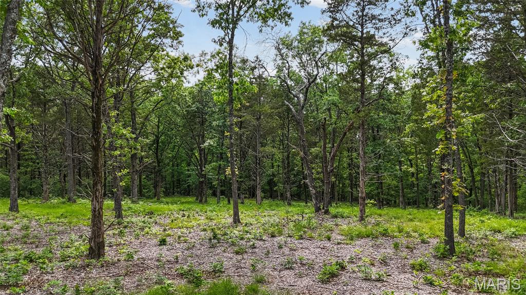 299 Whitetail Ridge Property Photo 8
