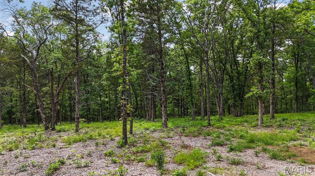 299 Whitetail Ridge Property Photo 9