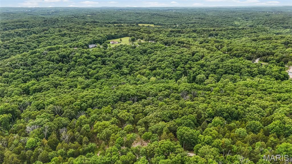 299 Whitetail Ridge Property Photo 10