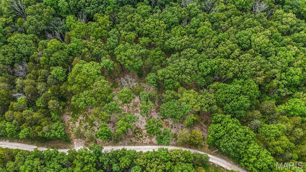 299 Whitetail Ridge Property Photo 11