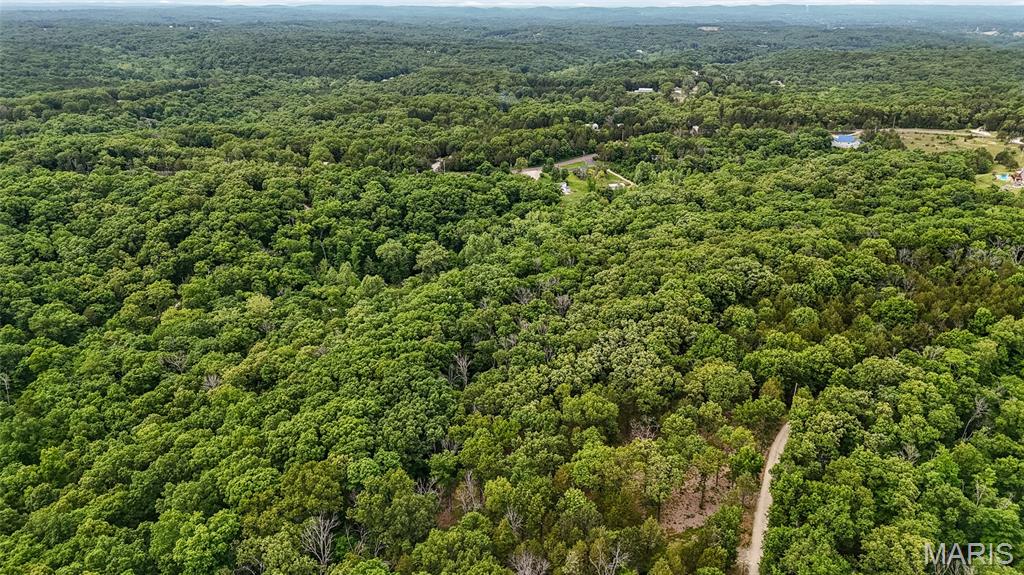 299 Whitetail Ridge Property Photo 12