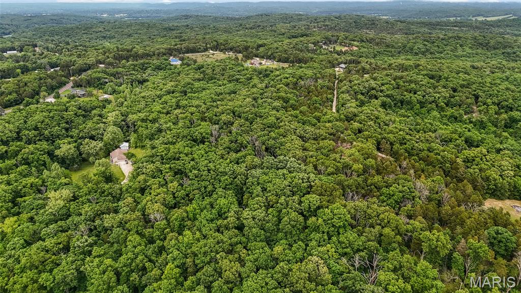 299 Whitetail Ridge Property Photo 13