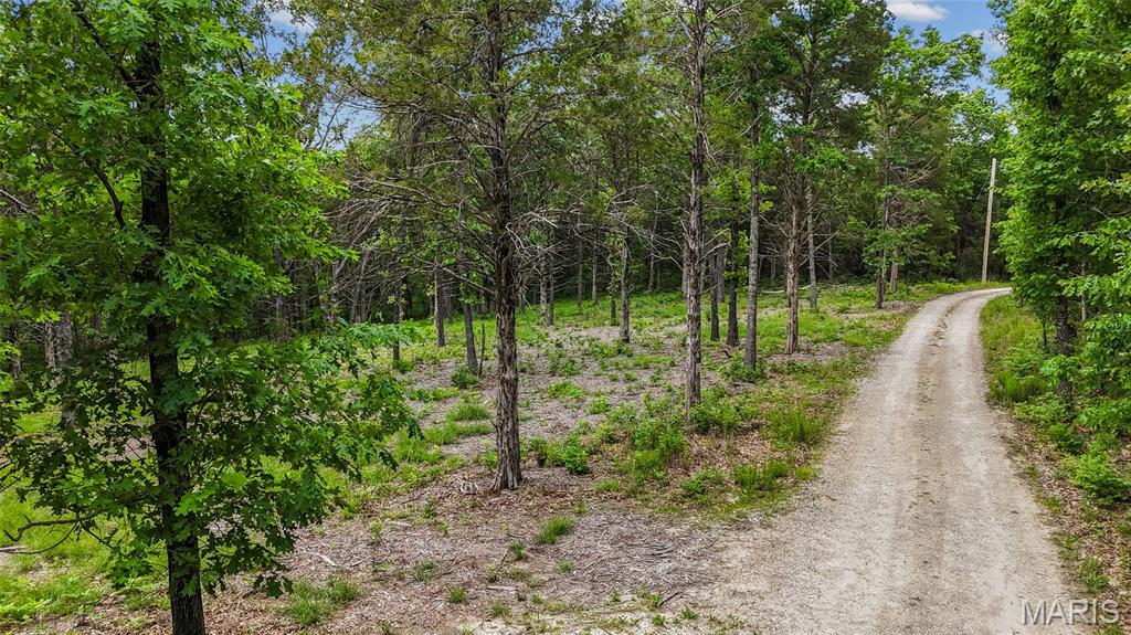 299 Whitetail Ridge Property Photo 14