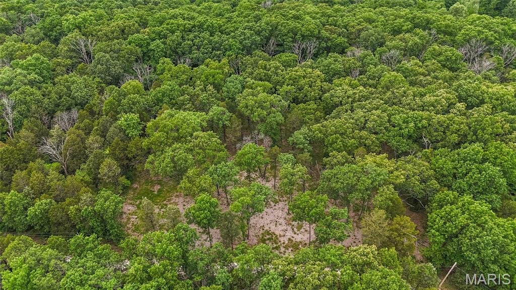 299 Whitetail Ridge Property Photo 15
