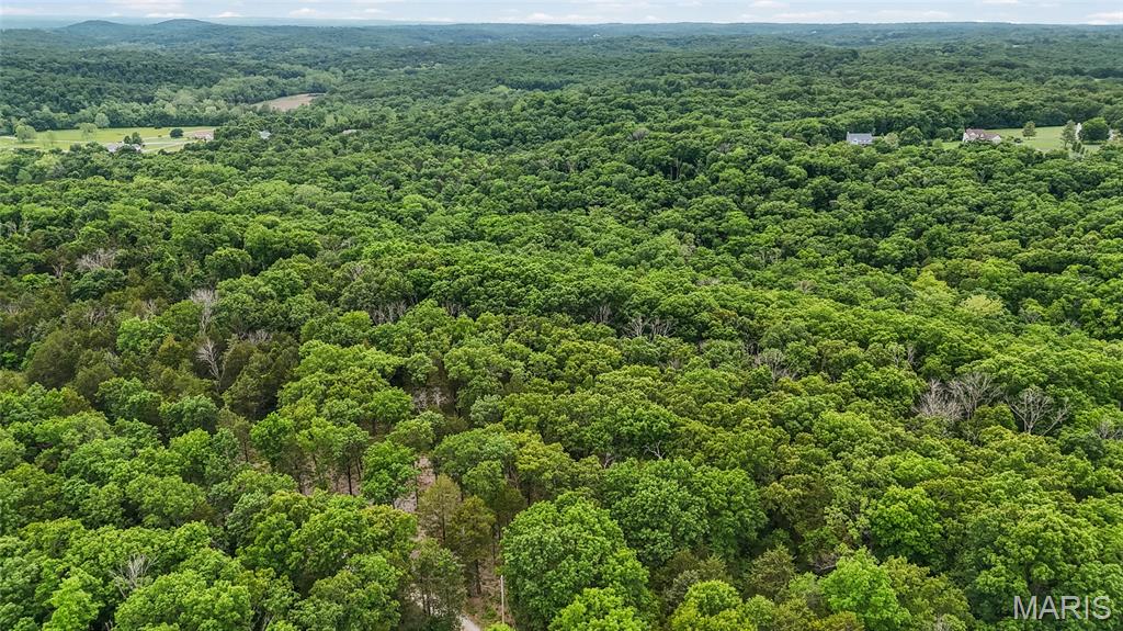299 Whitetail Ridge Property Photo 16
