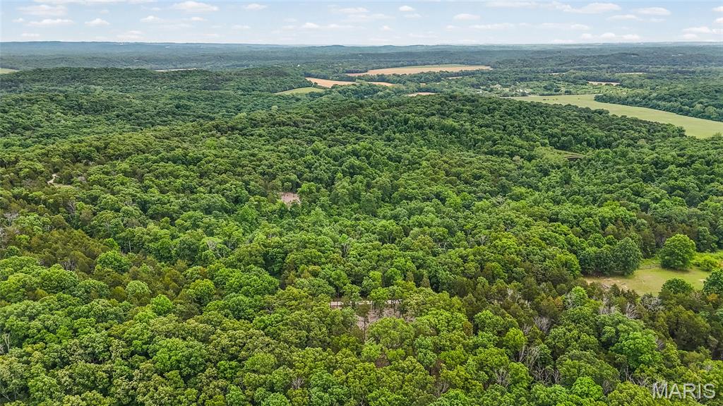 299 Whitetail Ridge Property Photo 17