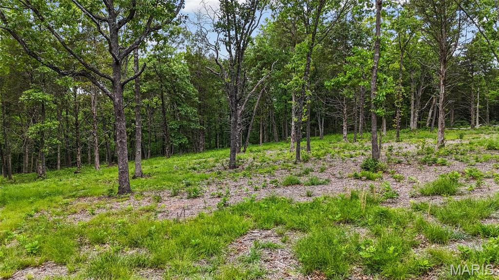 299 Whitetail Ridge Property Photo 18