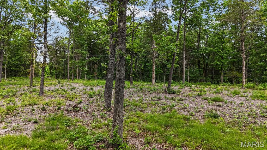 299 Whitetail Ridge Property Photo 19