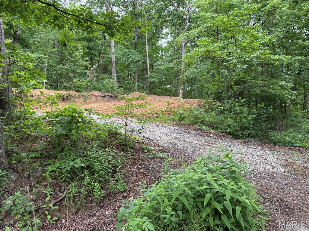 0 Lot 84 Mallard Road Property Photo 4
