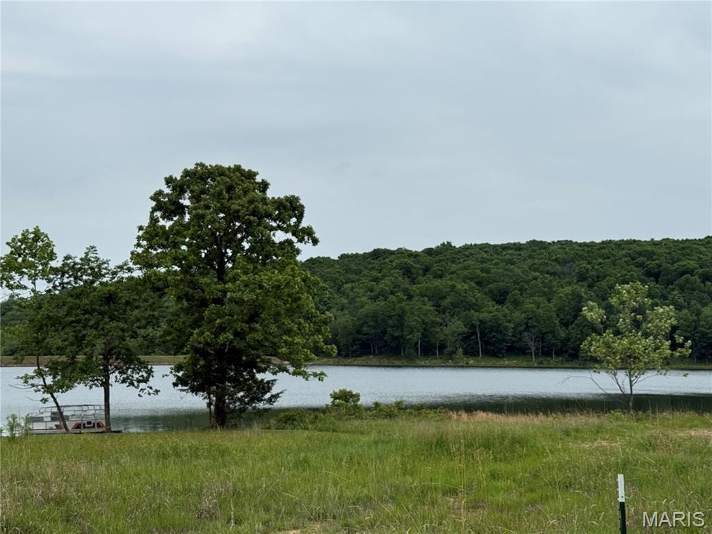 0 Lot 84 Mallard Road Property Photo 10
