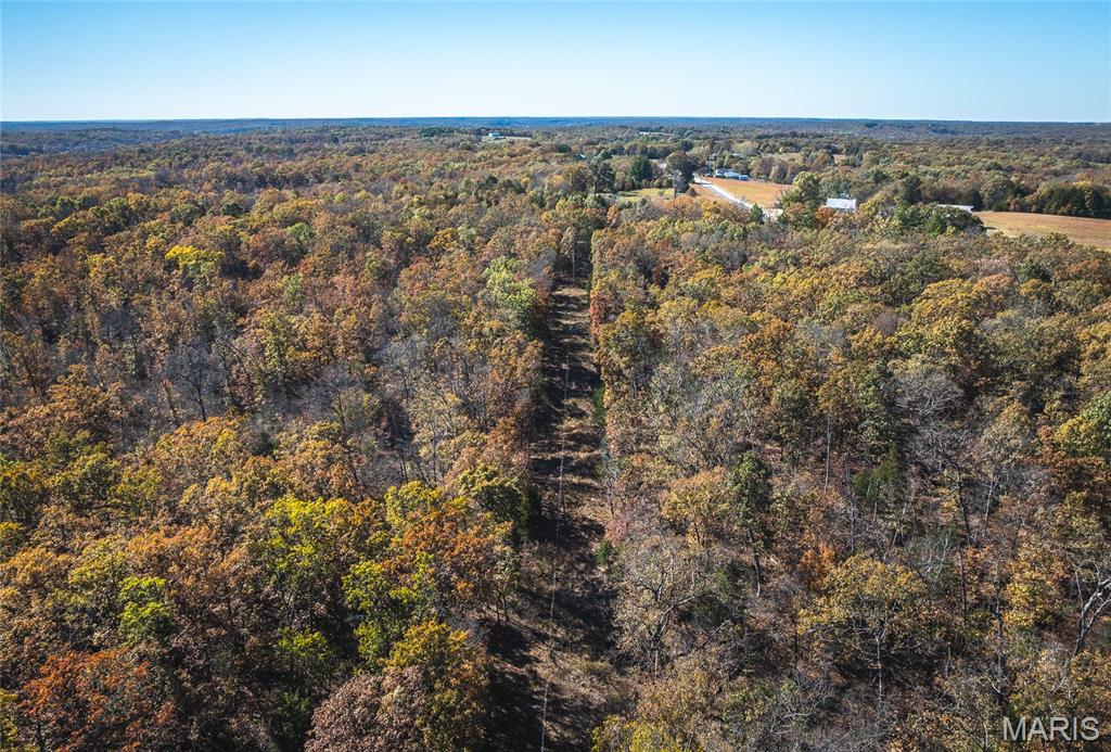 36 +/- Acres Tbd Highway H Property Photo 3