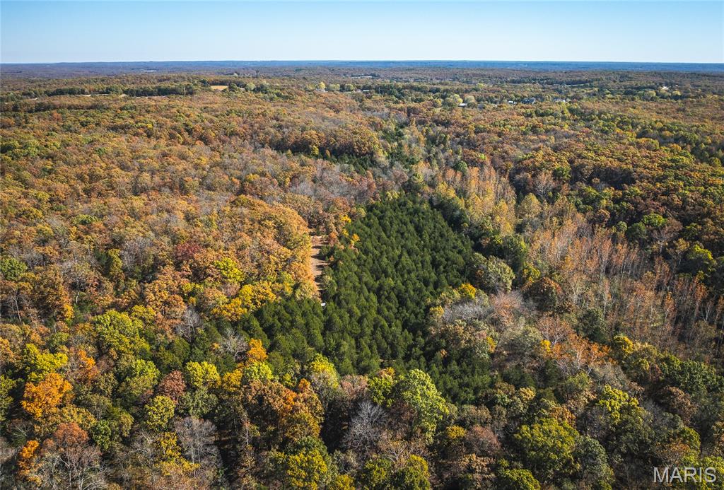 43 +/- Acres Tbd Highway H Property Photo 3