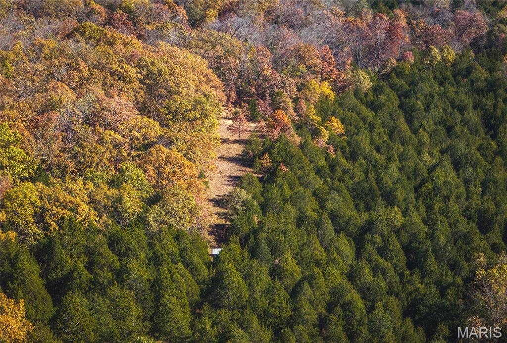 43 +/- Acres Tbd Highway H Property Photo 4