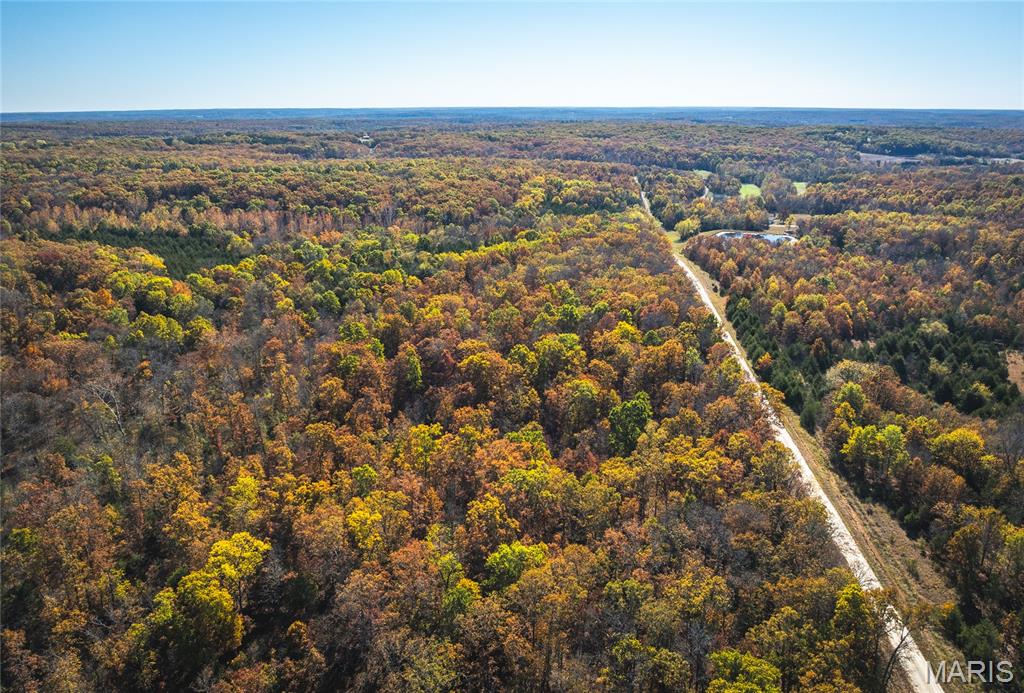 43 +/- Acres Tbd Highway H Property Photo 6