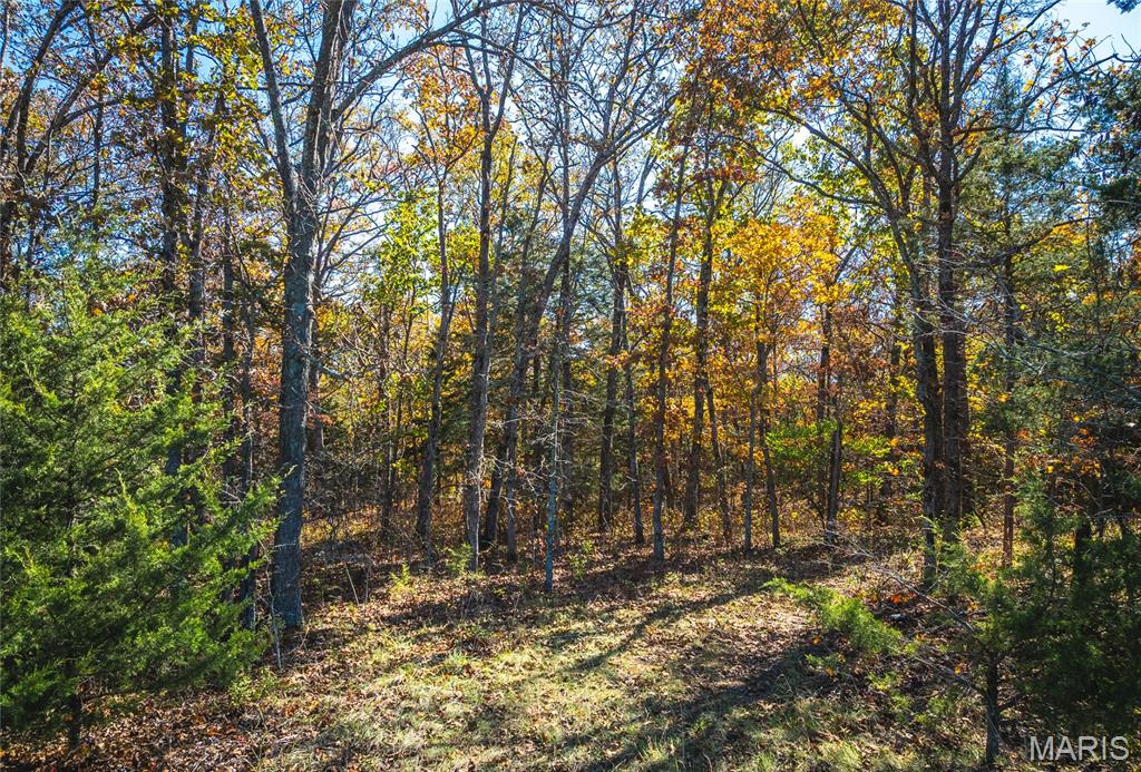 43 +/- Acres Tbd Highway H Property Photo 7