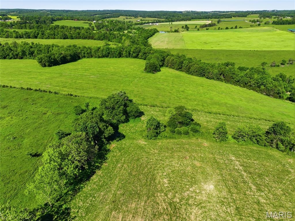 9290 Burton Branch Road Property Photo 13