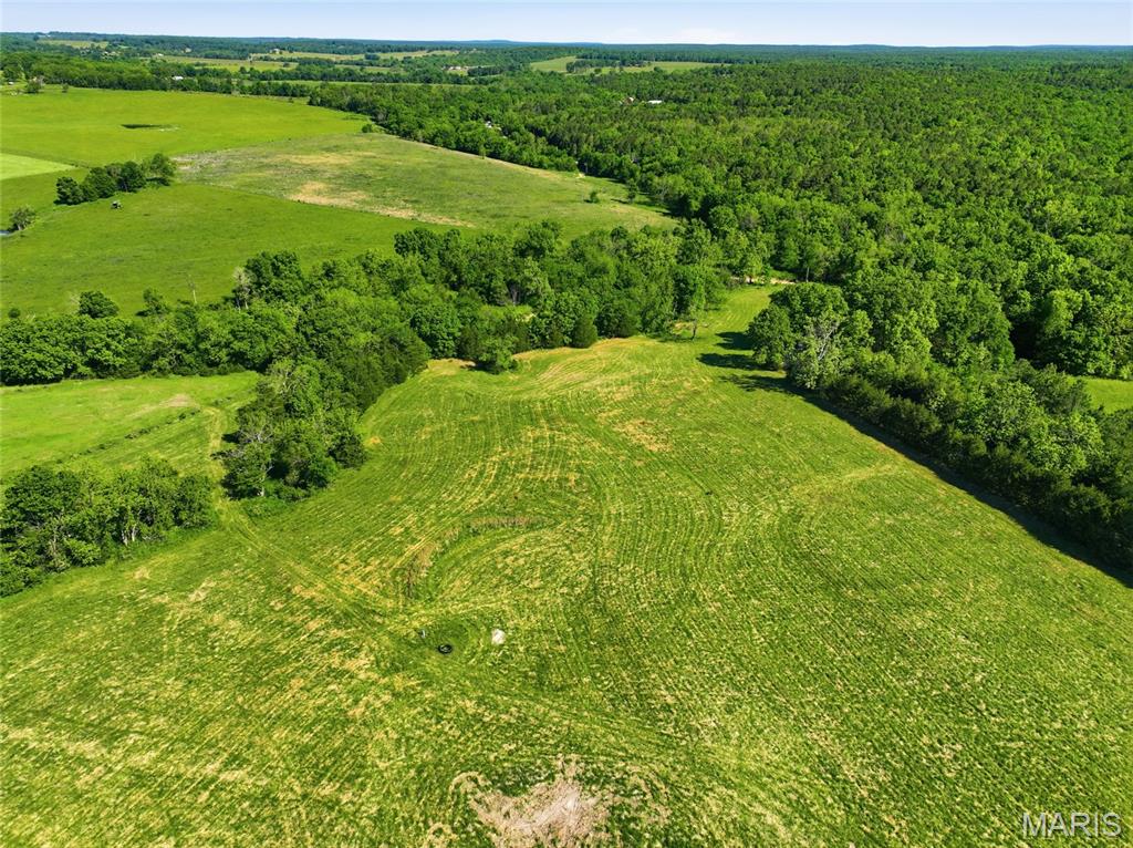 9290 Burton Branch Road Property Photo 14