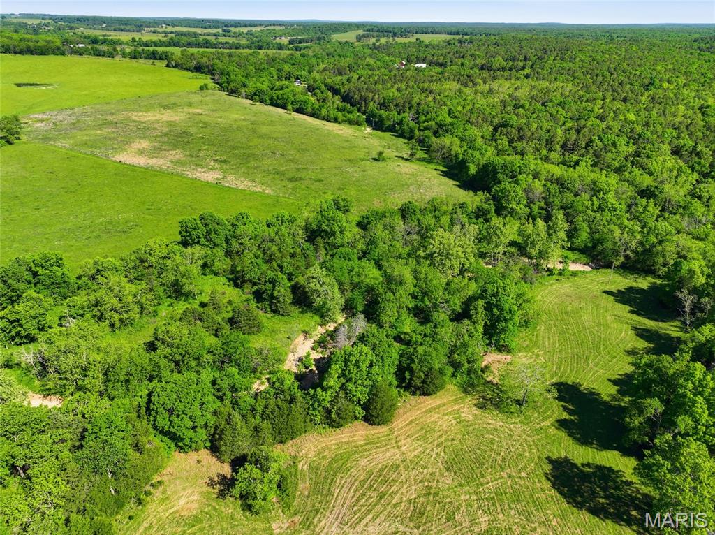 9290 Burton Branch Road Property Photo 15