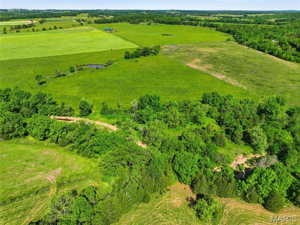 9290 Burton Branch Road Property Photo 16