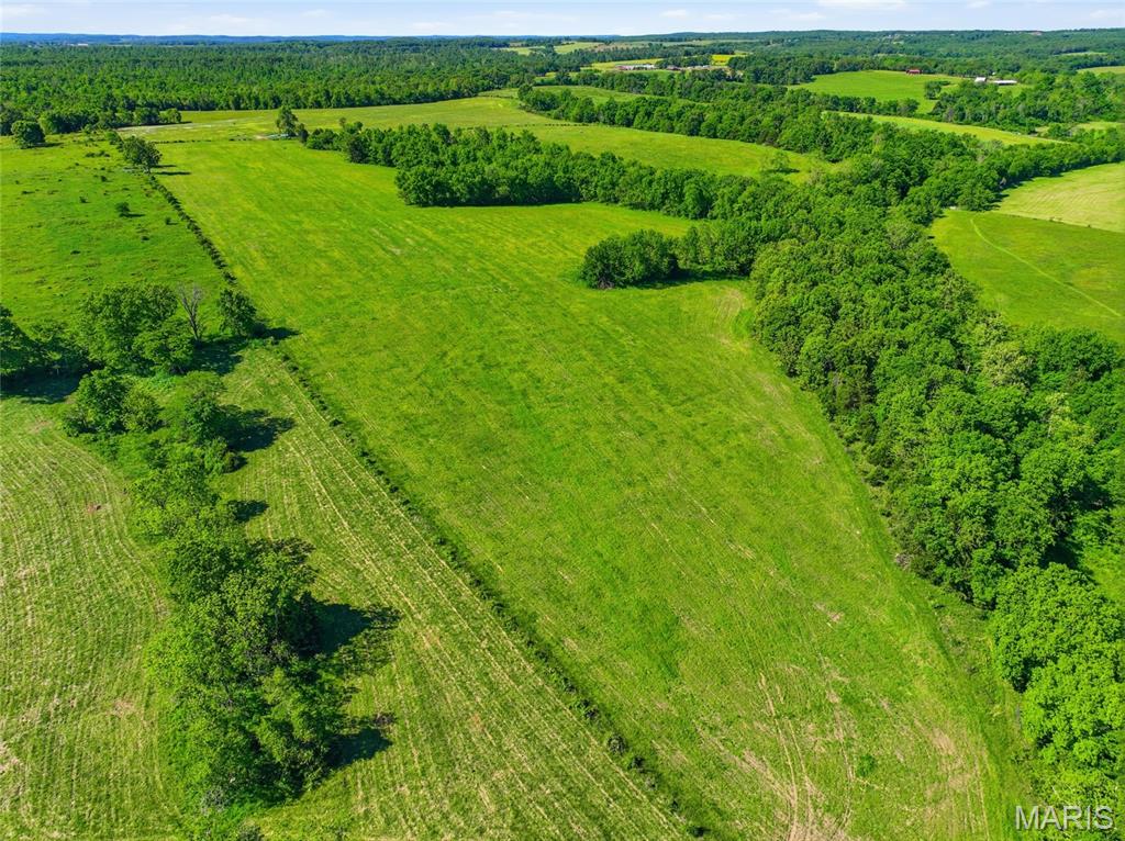 9290 Burton Branch Road Property Photo 17