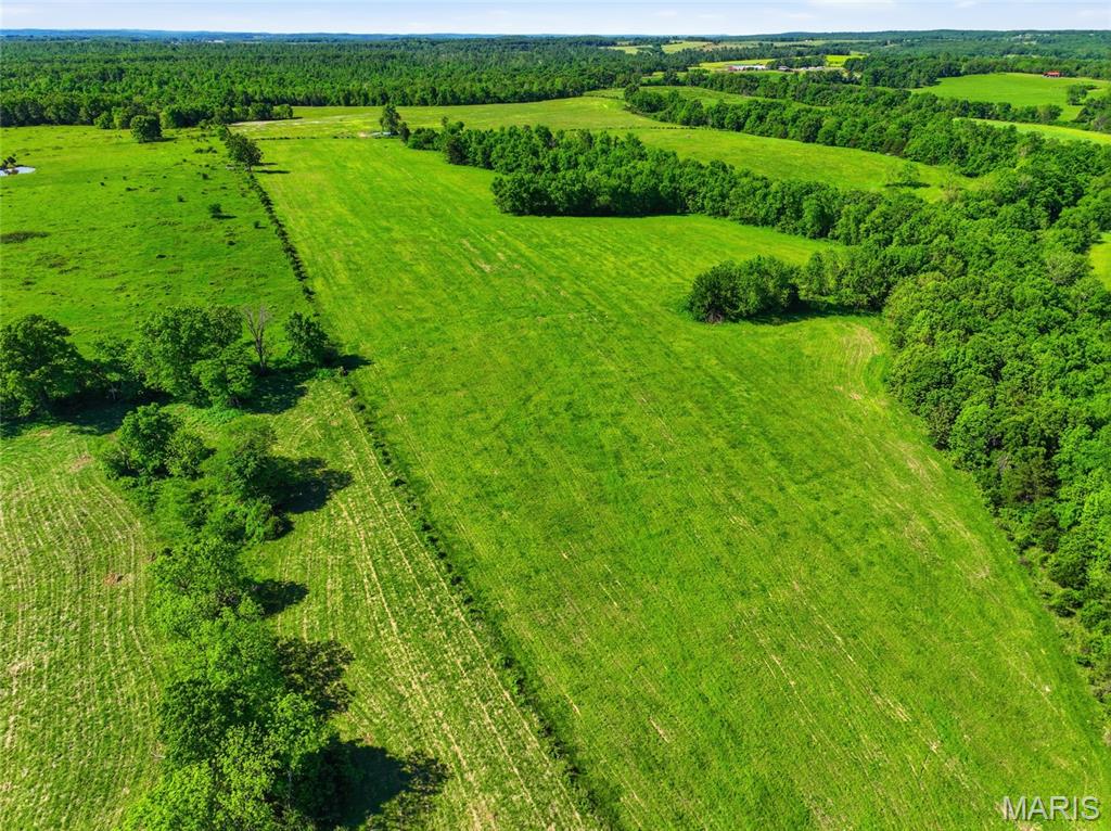 9290 Burton Branch Road Property Photo 18