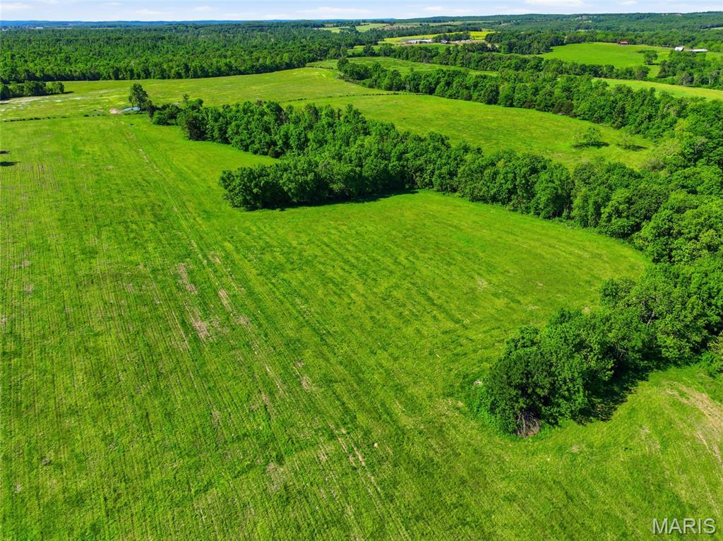9290 Burton Branch Road Property Photo 19