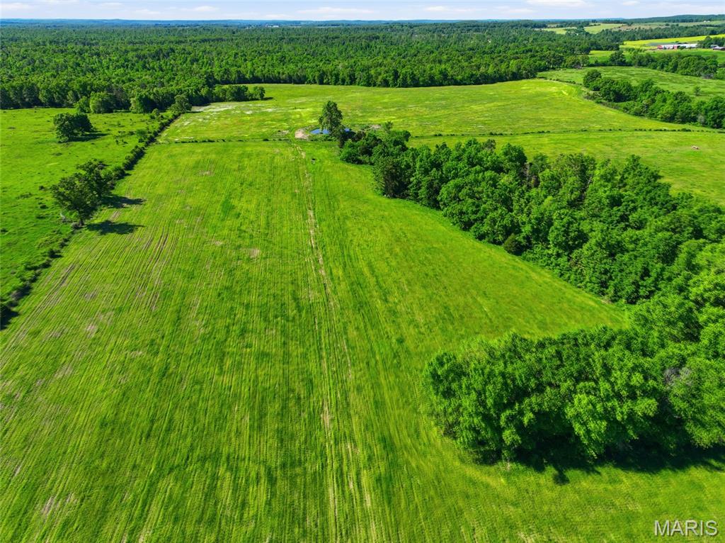 9290 Burton Branch Road Property Photo 20