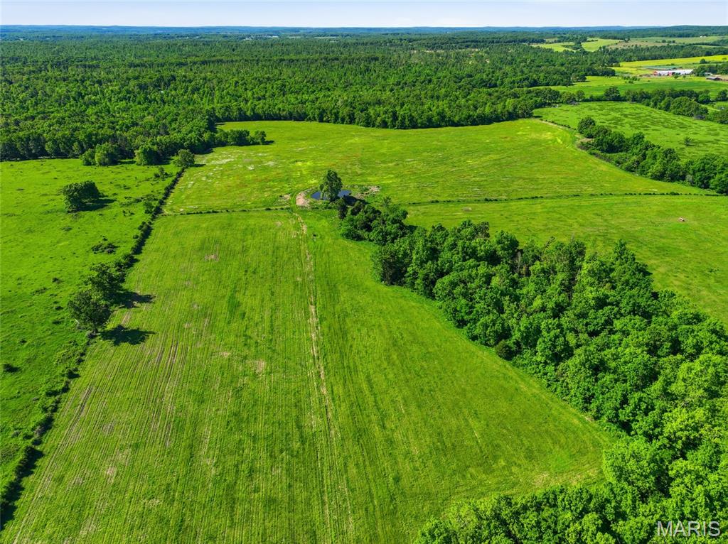 9290 Burton Branch Road Property Photo 21