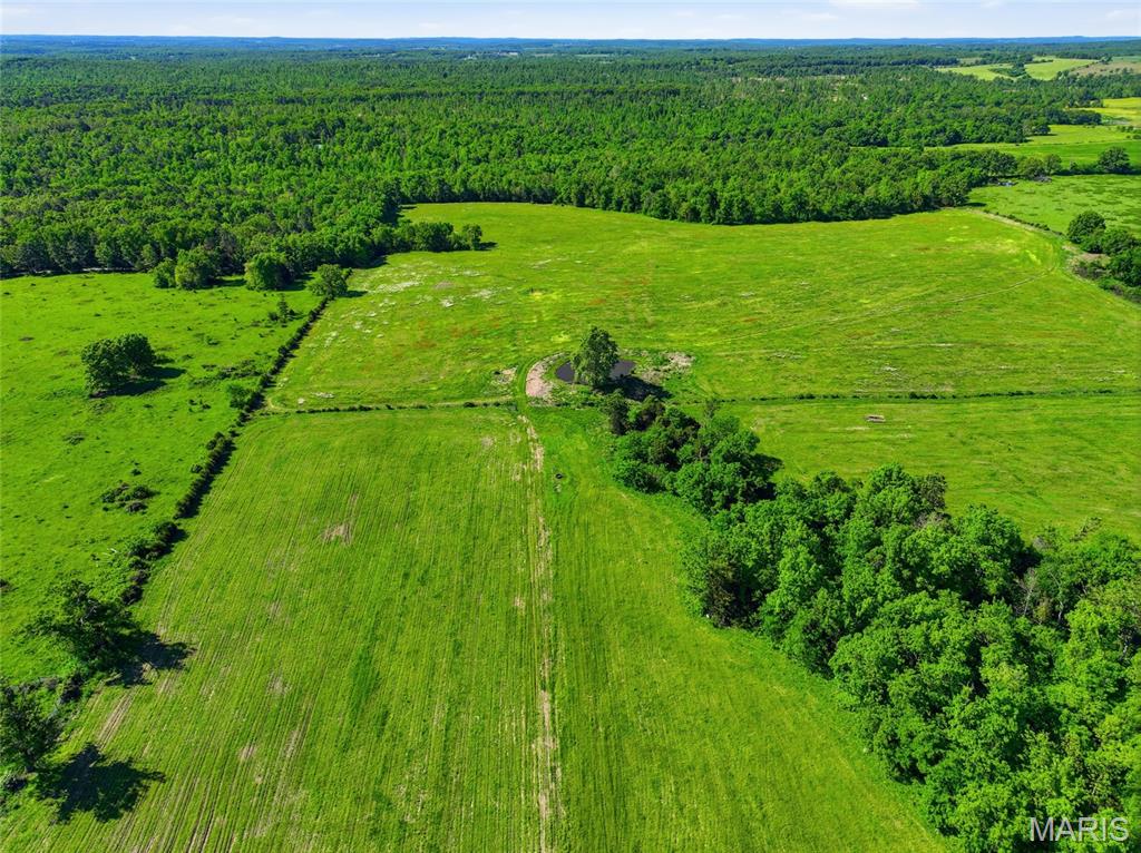 9290 Burton Branch Road Property Photo 22
