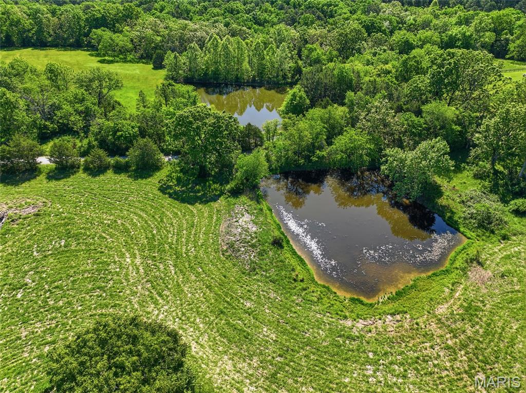 9290 Burton Branch Road Property Photo 23