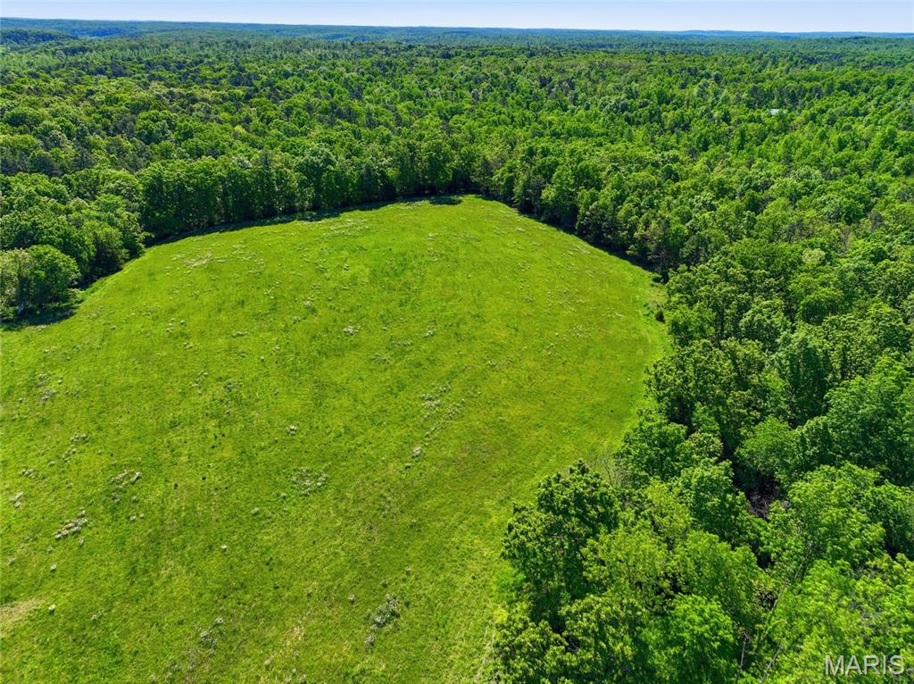 9290 Burton Branch Road Property Photo 25