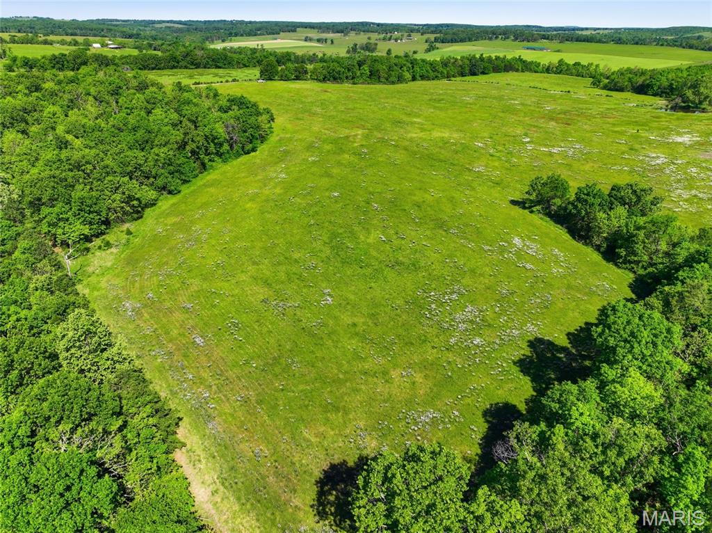 9290 Burton Branch Road Property Photo 26